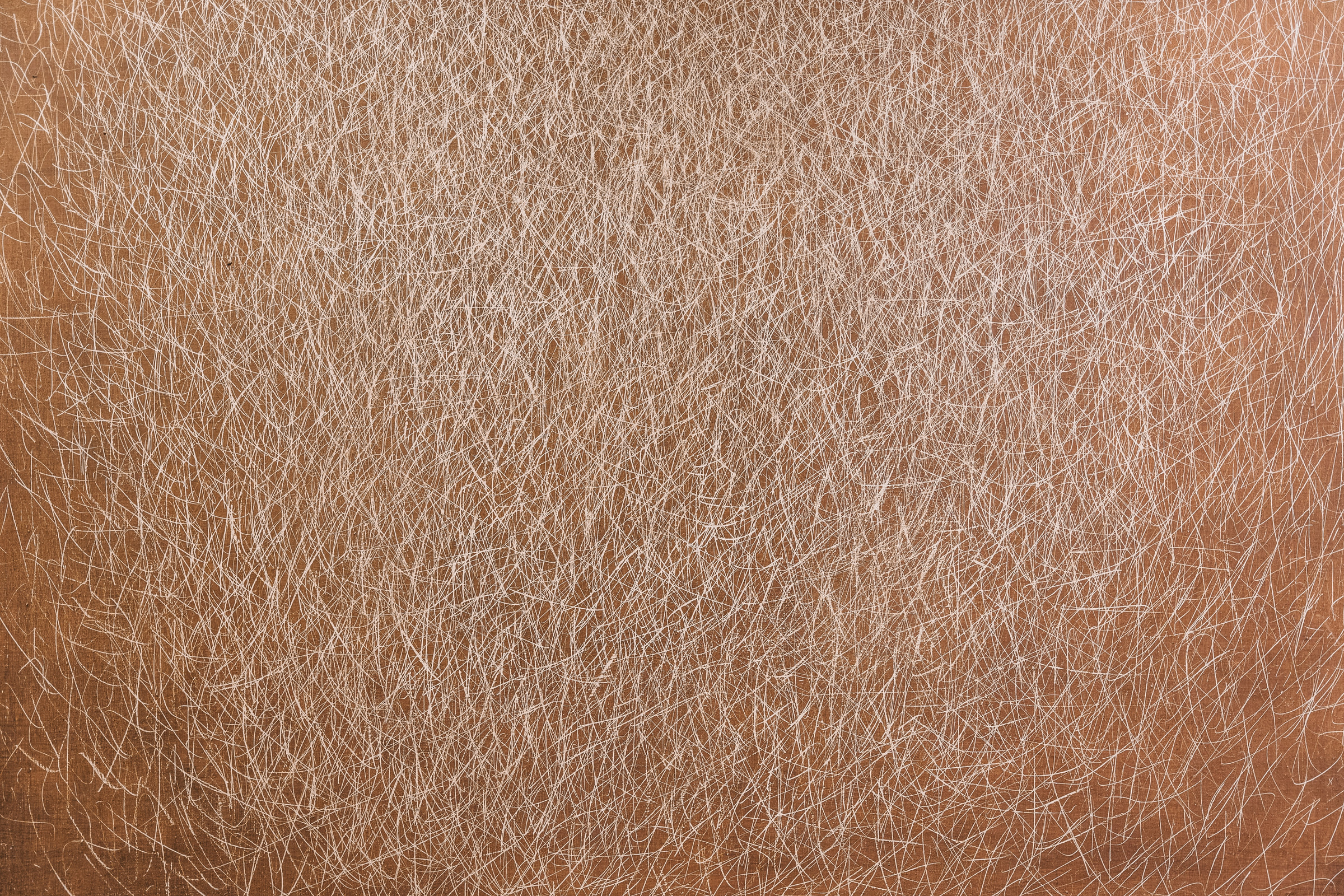 A close-up of skin texture in warm natural light.